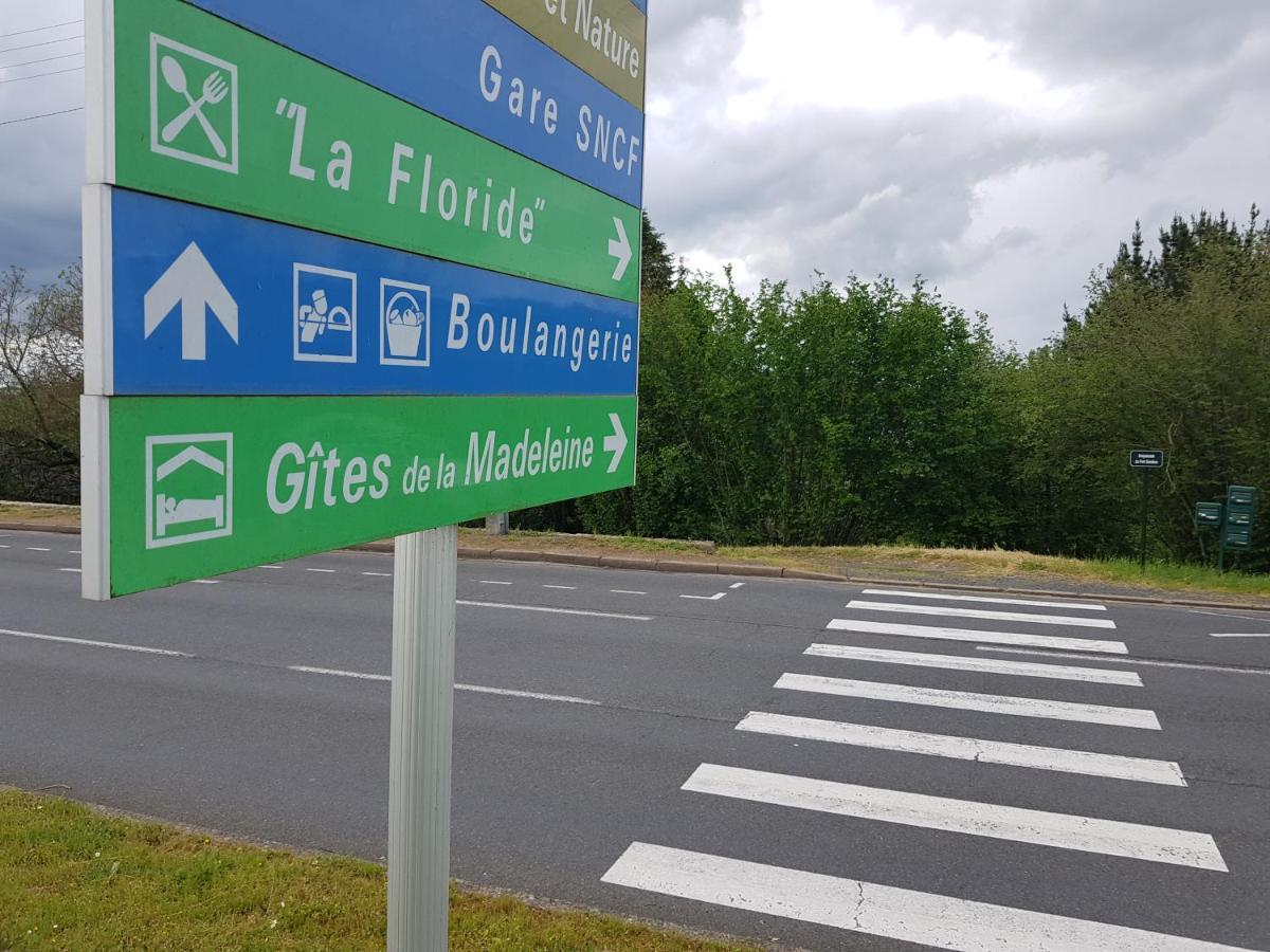 Les Gites De La Madeleine La Chapelle-sur-Loire 外观 照片